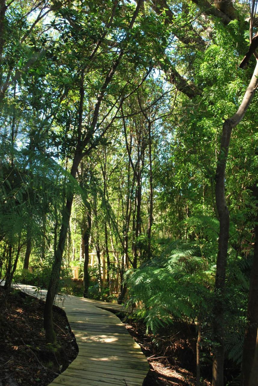 Chucao Bosque y Cabañas Chaitén Exterior foto