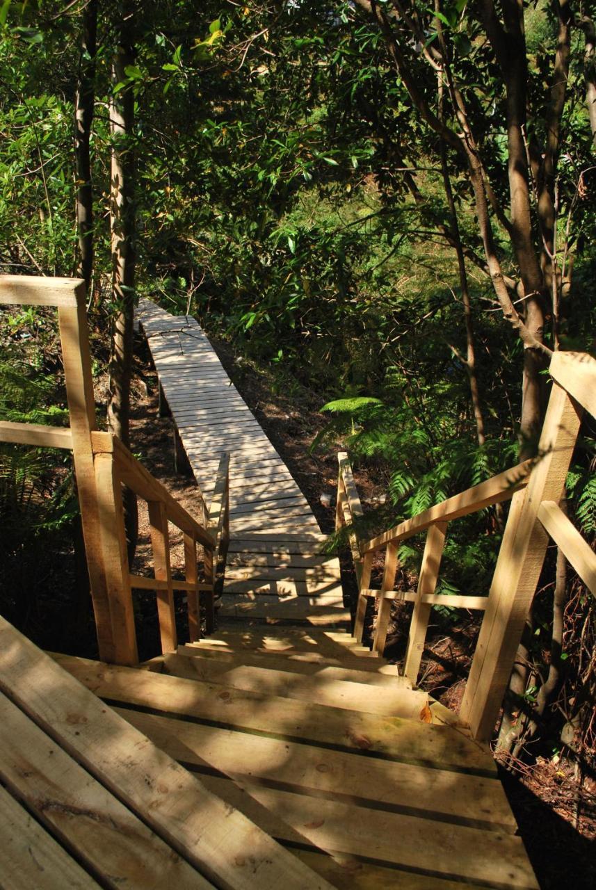Chucao Bosque y Cabañas Chaitén Exterior foto