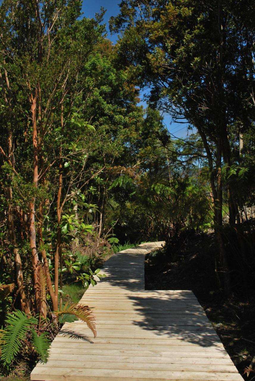 Chucao Bosque y Cabañas Chaitén Exterior foto