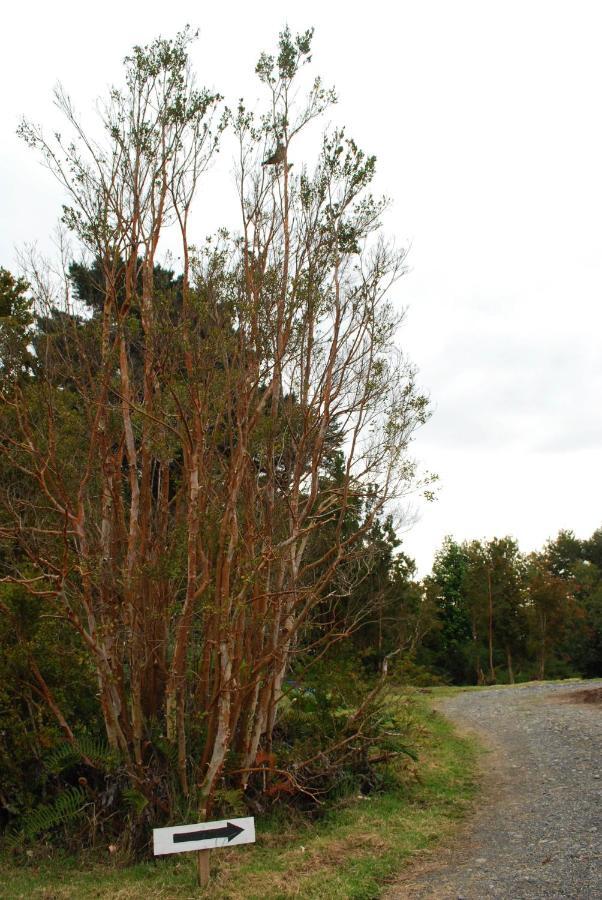 Chucao Bosque y Cabañas Chaitén Exterior foto
