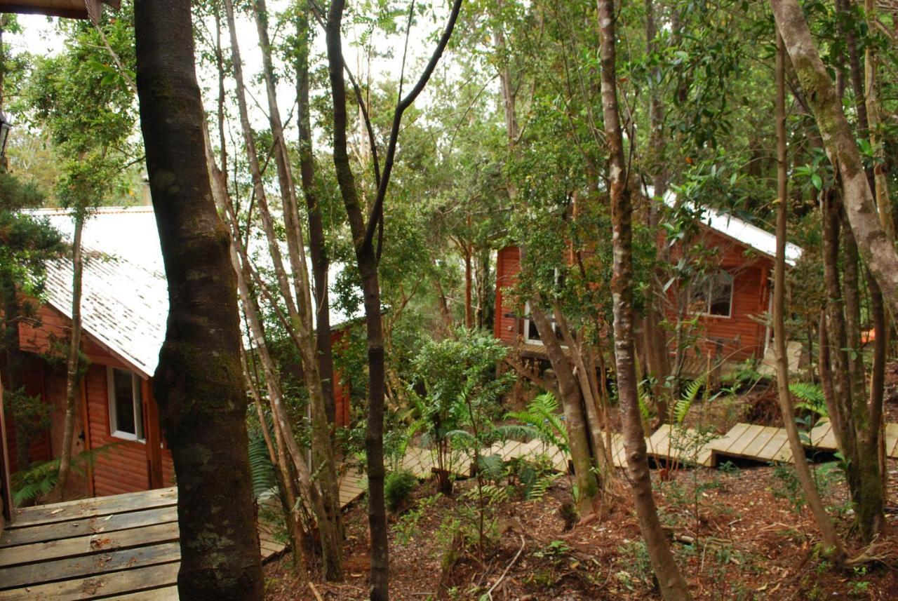 Chucao Bosque y Cabañas Chaitén Exterior foto